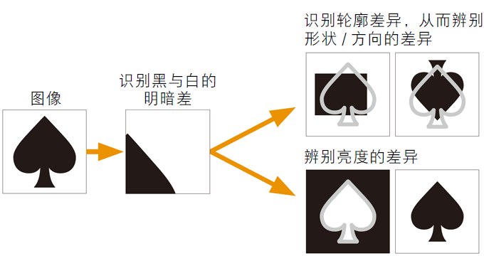 黑白型